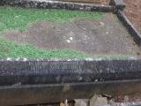 image of grave number 795040
